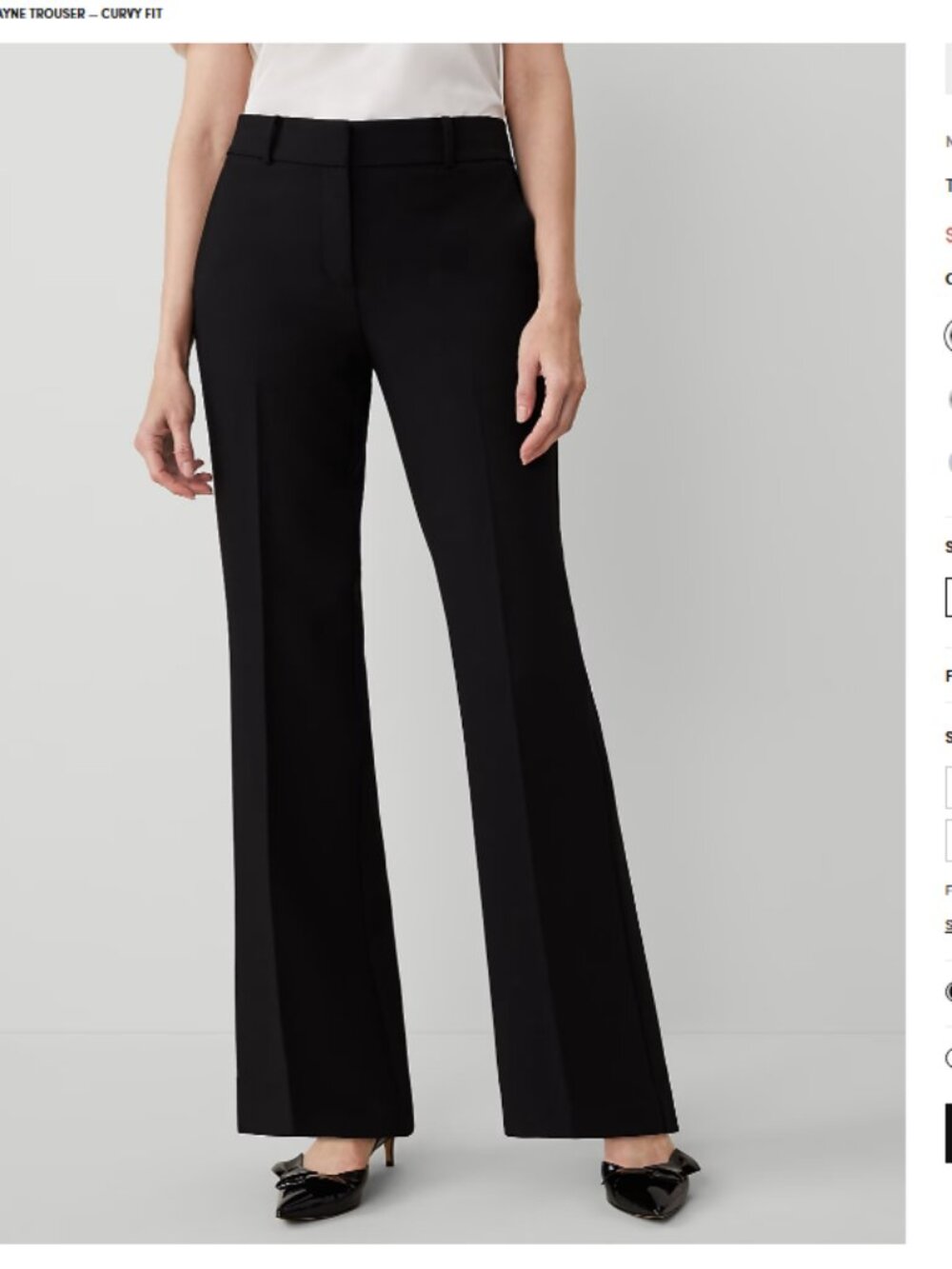 Ann Taylor- Jayne Trouser Curvy Fit
